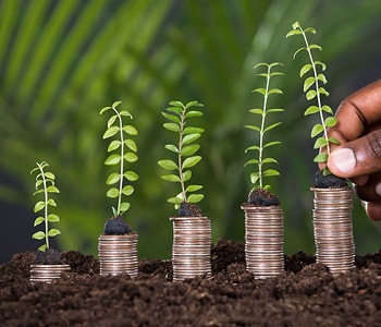 Business Opportunity